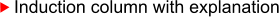 Induction column with explanation