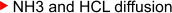 NH3 and HCL diffusion